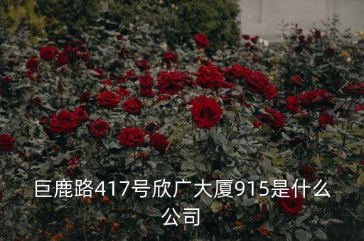 巨鹿路417號欣廣大廈915是什么公司