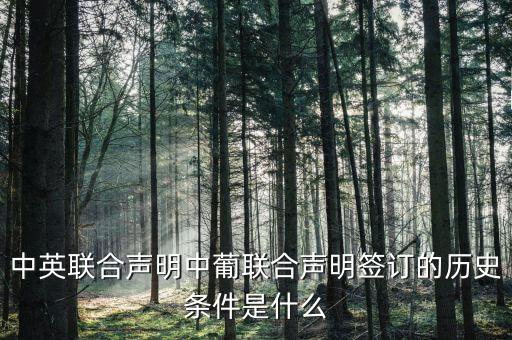 中英聯(lián)合聲明中葡聯(lián)合聲明簽訂的歷史條件是什么