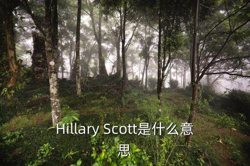 Hillary Scott是什么意思