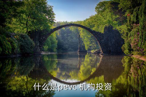 什么是pevc 機構投資