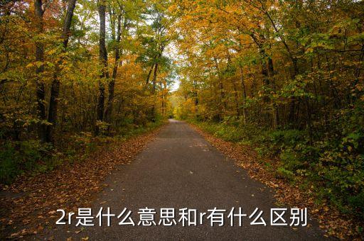 什么是粵東油，2r是什么意思和r有什么區(qū)別