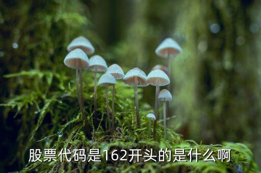 股票代碼是162開頭的是什么啊