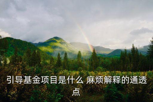 ppp引導(dǎo)基金是什么，PPP項目是什么意思