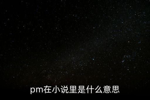 pm在小說里是什么意思