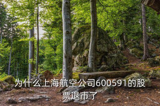 為什么上海航空公司600591的股票退市了