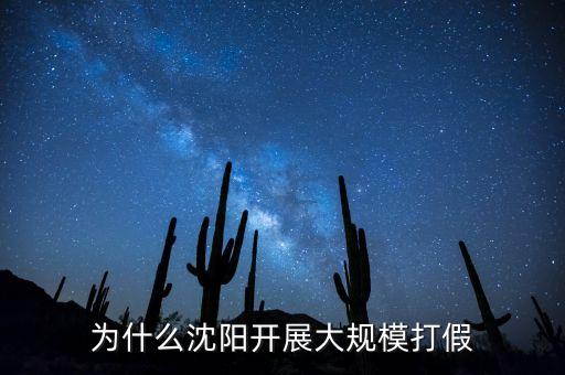 為什么沈陽開展大規(guī)模打假