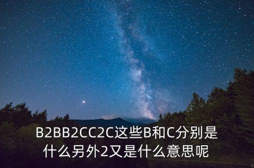 B2BB2CC2C這些B和C分別是什么另外2又是什么意思呢