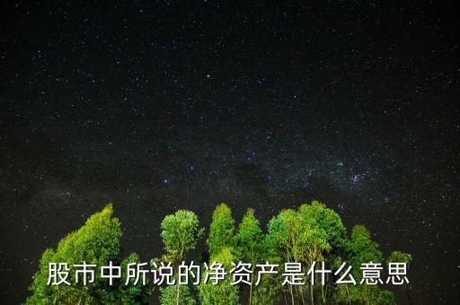 盤口中凈資產(chǎn)是什么意思，股票中什么是凈資產(chǎn)