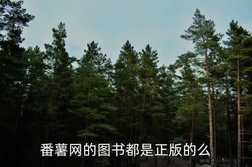 方正番薯什么公司，方正集團怎么樣