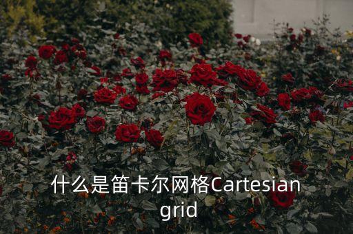 什么是笛卡爾網格Cartesian grid