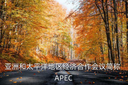 亞洲和太平洋地區(qū)經(jīng)濟(jì)合作會議簡稱 APEC