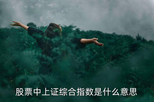 股票中上證綜合指數(shù)是什么意思