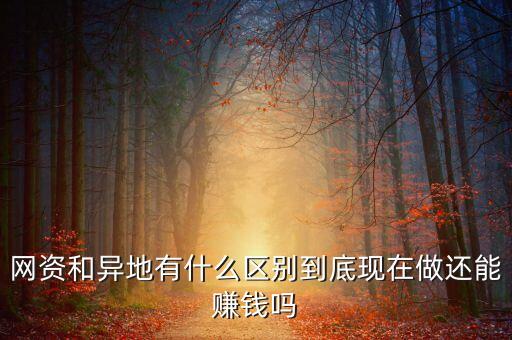 網(wǎng)資和異地有什么區(qū)別到底現(xiàn)在做還能賺錢嗎