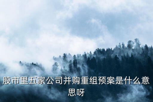 并購重組審核意圖是什么，天風(fēng)證券的并購重組是什么意思