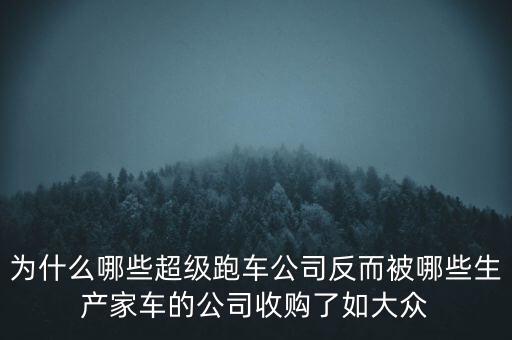 為什么哪些超級(jí)跑車(chē)公司反而被哪些生產(chǎn)家車(chē)的公司收購(gòu)了如大眾