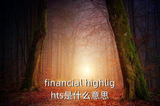 financial highlights是什么意思