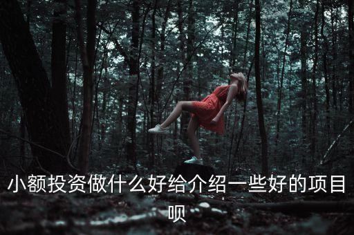 小額投資做什么好給介紹一些好的項目唄