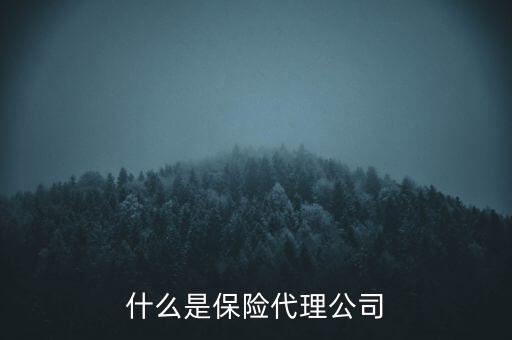 什么是保險代理公司