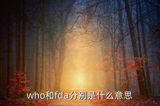 who預認證什么意思，who是什么意思