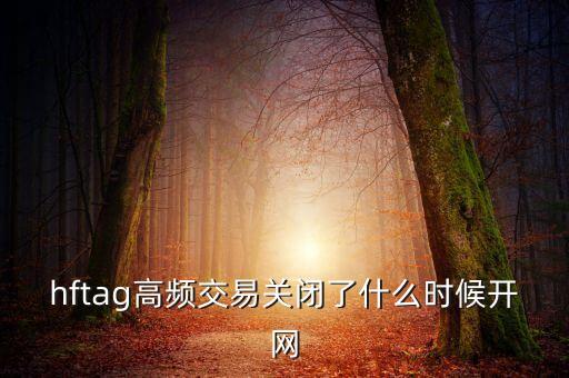 hftag高頻交易關閉了什么時候開網(wǎng)