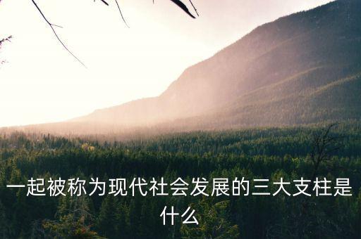 一起被稱為現代社會發(fā)展的三大支柱是什么