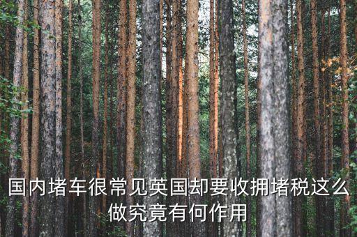 國外為什么要征收交通擁堵費(fèi)，為什么要收擁堵費(fèi)