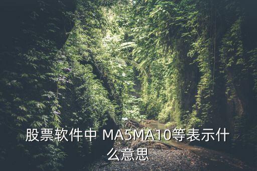 股票軟件中 MA5MA10等表示什么意思