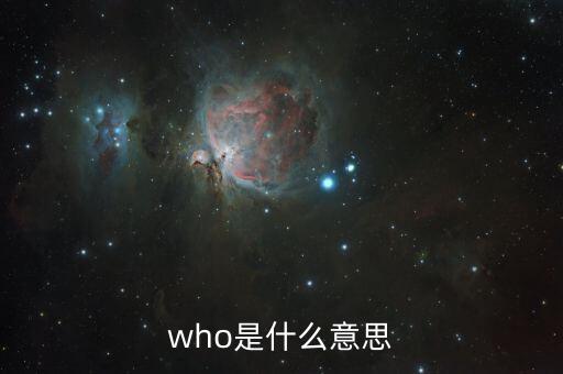 who是什么意思