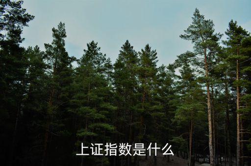 股票上證指數(shù)什么意思，上證指數(shù)是什么