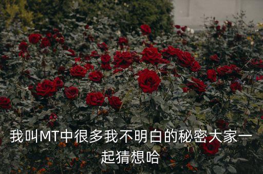 四勿戰(zhàn)法是什么，炒股的四勿戰(zhàn)法早晨之星是什么