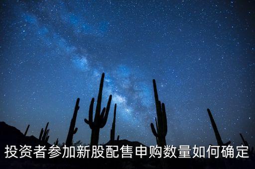 投資者參加新股配售申購(gòu)數(shù)量如何確定