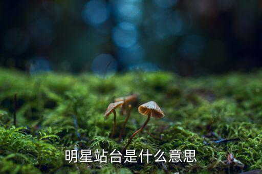 明星站臺(tái)是什么意思