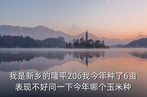 我是新鄉(xiāng)的隆平206我今年種了6畝表現(xiàn)不好問一下今年哪個玉米種