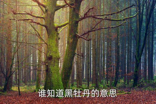 黑牡丹是什么意思，當(dāng)有人叫你黑牡丹是什么意思