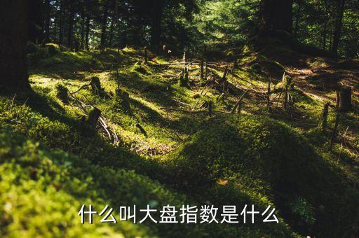 什么叫大盤指數(shù)是什么