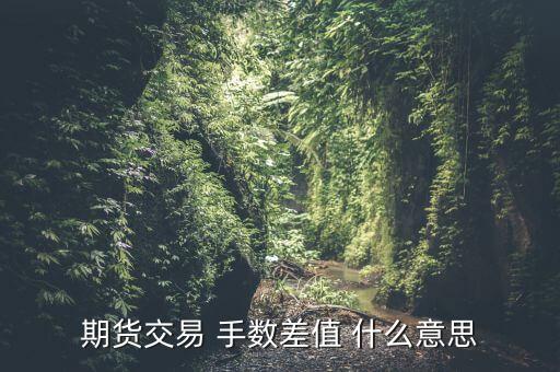 期貨交易 手數(shù)差值 什么意思