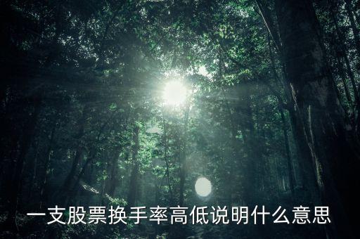 一支股票換手率高低說(shuō)明什么意思