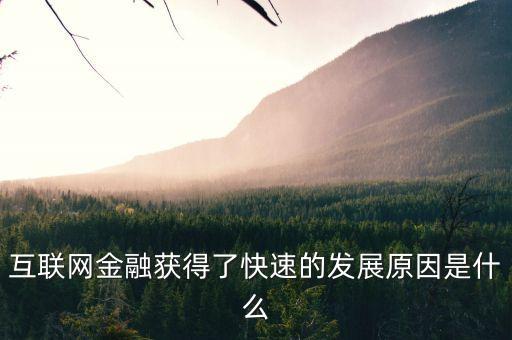 互聯(lián)網(wǎng)金融獲得了快速的發(fā)展原因是什么