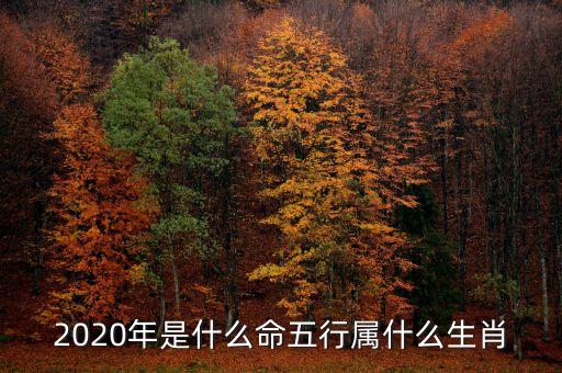 2020年是什么命五行屬什么生肖