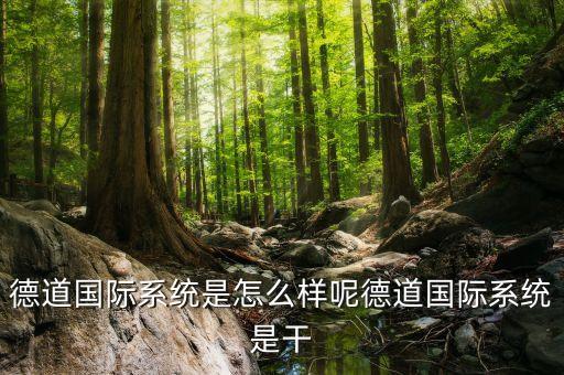 德道國際系統(tǒng)是怎么樣呢德道國際系統(tǒng)是干