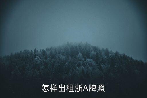 怎樣出租浙A牌照