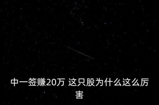 中一簽賺20萬 這只股為什么這么厲害