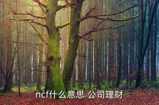 ncf環(huán)保a是什么股票，ncf什么意思 公司理財(cái)