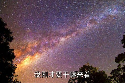 我剛剛要干什么來著，我剛才要干嘛來著