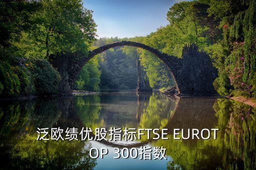 泛歐績優(yōu)股指標FTSE EUROTOP 300指數(shù)