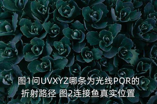 圖1問UVXYZ哪條為光線PQR的折射路徑 圖2連接魚真實(shí)位置