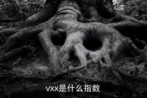 vxx是什么指數(shù)