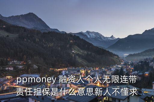 ppmoney 融資人個人無限連帶責(zé)任擔(dān)保是什么意思新人不懂求