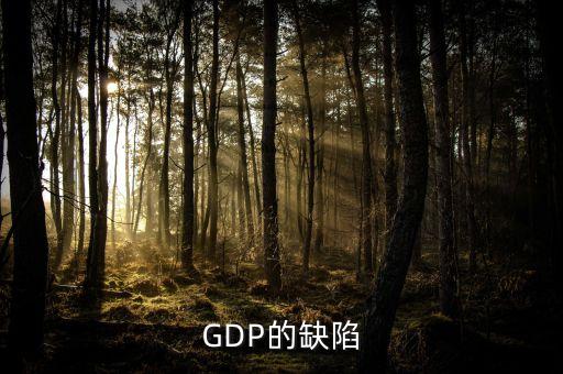 GDP的缺陷