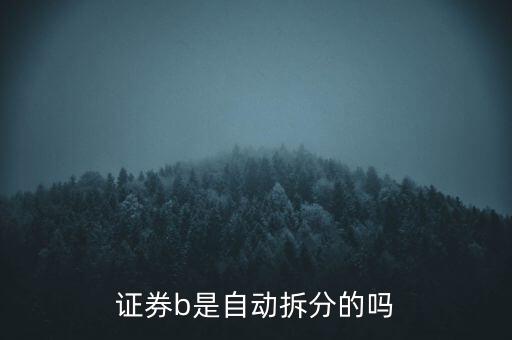 證券b是自動拆分的嗎